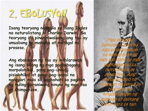 Ebolusyon ng tao .